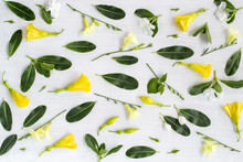 Yellow And White Flowers And Green Leaves Pattern On White Background
