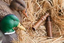 Duck Decoy With Stuffed And Calls