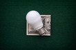 LED bulb and one hundred dollars bill