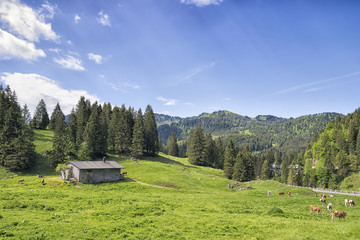 Wall Mural - Bavaria Alps near Spitzingsee