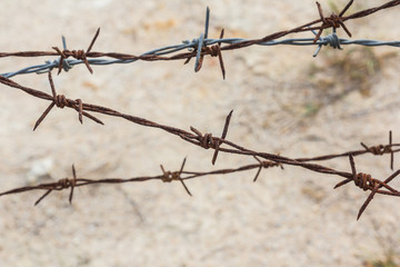 Barbed wire  old aged detailed weathered isolated