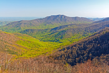 The Green of Spring Starting to Move up the Mountains