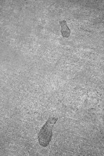 Footsteps Footprints Frozen In Hard Concrete Cement