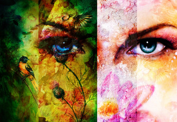 Poster - Color abstract background with birds and flower and  blue eye. 