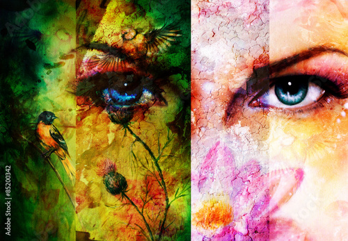 Fototapeta do kuchni Color abstract background with birds and flower and blue eye. 