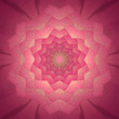 © Shanti Shanti - Flower Mandala with cherry background. Ornamental round floral Pattern.