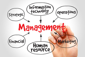 Wall Mural - Management mind map business strategy concept