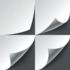 Poster - Set of curled white paper page corners with realistic shadows