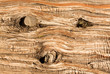 © steheap - Background close up of cedar trunk bark