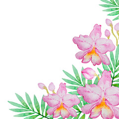 Poster - Pink orchids and green leaves