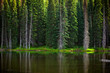 Tranquil Lake and Evergreen Trees - Manning Provincial Park, British Columbia Canada