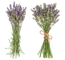 Sticker - Lavender isolated on white background. Fresh provencal flowers