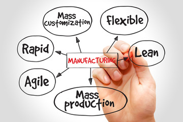 Wall Mural - Manufacturing management mind map, business concept