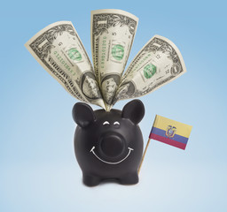 One dollar banknotes in a happy piggybank of Ecuador.(series)