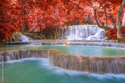 Naklejka dekoracyjna Waterfall in rain forest (Tat Kuang Si Waterfalls at Luang praba