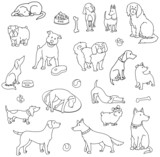 Fototapeta Pokój dzieciecy - Hand drawn set of various dogs,