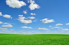 Bright Green Field Under A Sky With Clouds