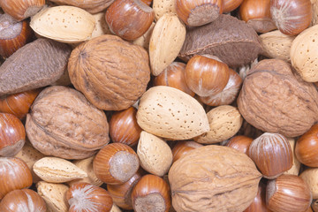 Wall Mural - mixed nuts