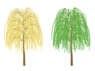 Poster - Trees