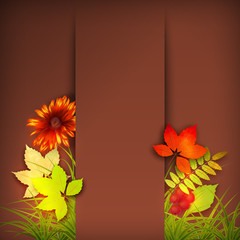 Sticker - Autumn Vector Fall Leaves