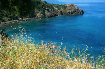 Canvas Print - Mare - Calamoresca - Piombino