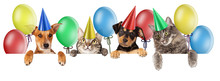 Birthday Cat And Dog Banner