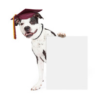 Dog Obedience School Graduate Holding Blank Sign