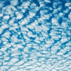 Poster - Cloudscape With Altocumulus Clouds