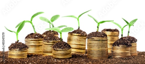 Fotomural Investment, accounts, savings.