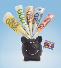 Various european banknotes in a happy piggybank of Swaziland.(se