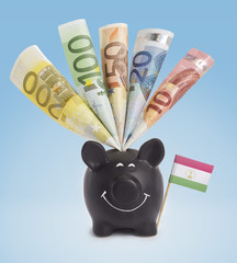 Various european banknotes in a happy piggybank of Tajikistan.(s