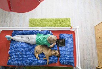 Dog lying on bed with boy using digital tablet