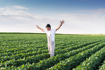 Wall Mural - farmer in soybean fields