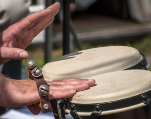 Bongo Drums