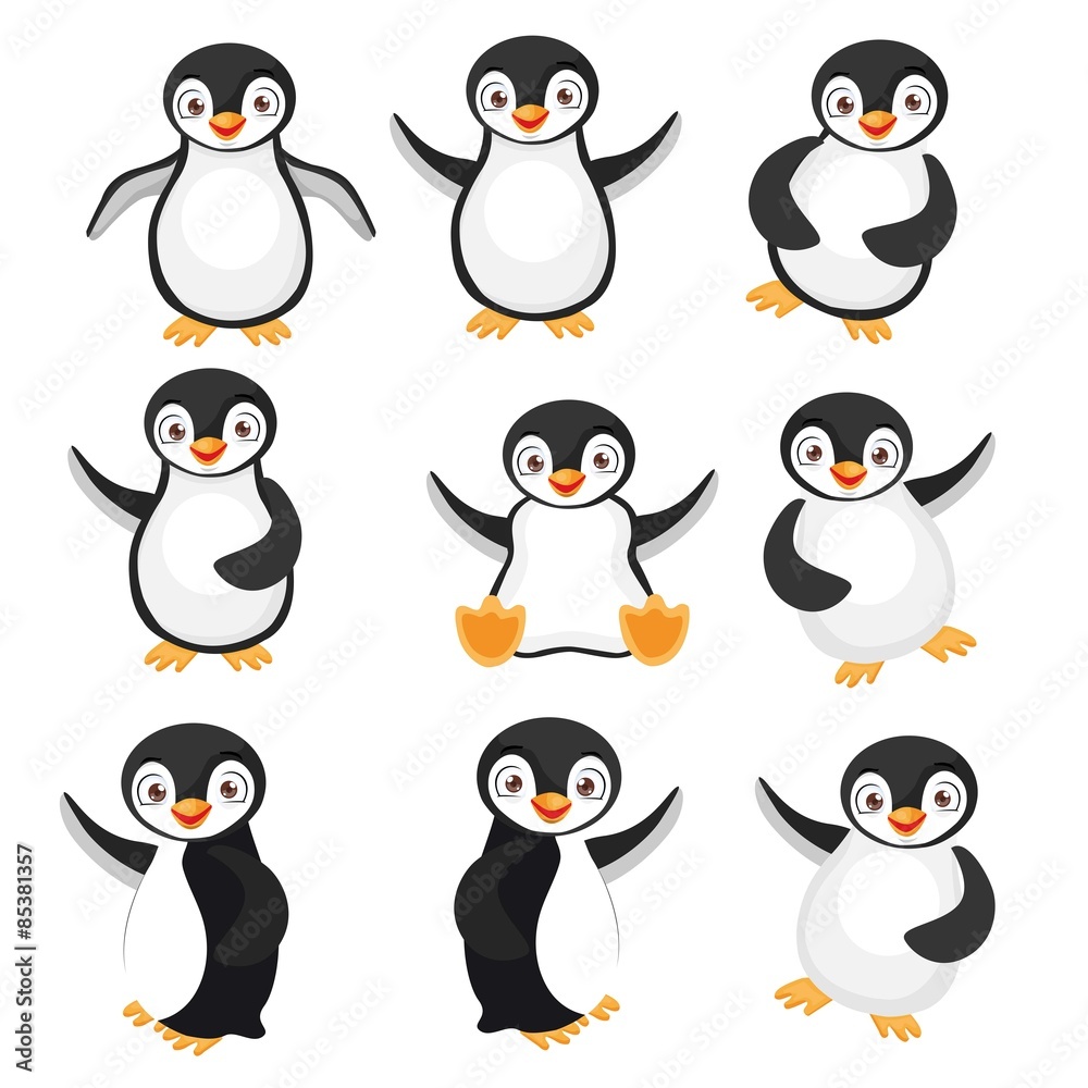 Black Penguins - obrazy, fototapety, plakaty 