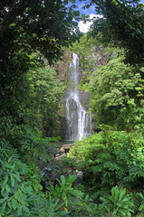 Canvas Print - Wailua Falls - Maui, Hawaii