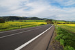 Empty asphalt road between yellow flowering rapeseed field in rural landscape