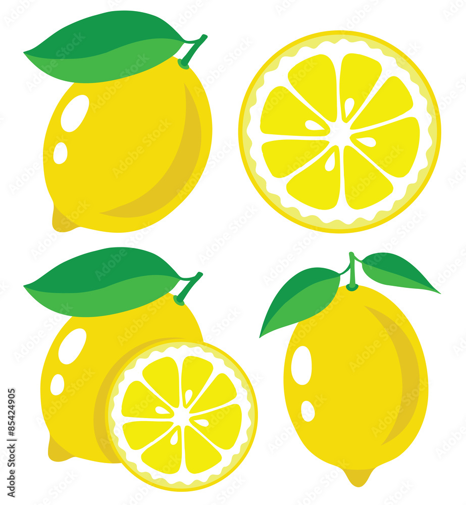 Lemon vector illustration Stock Vector | Adobe Stock, image size:923x1000