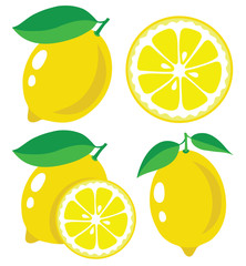 Leinwandbilder - Lemon vector illustration