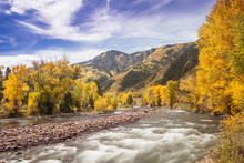 Fall Colors On The Roaring Fork River