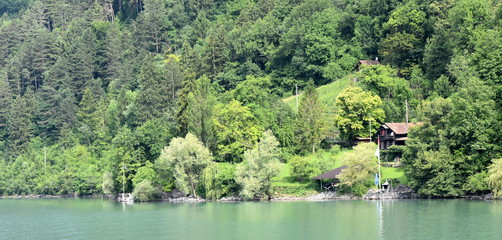 Wall Mural - un petit coin de paradis....walensee