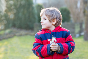 Wall Mural - little kid boy in red jacket holding snowdrop flowers