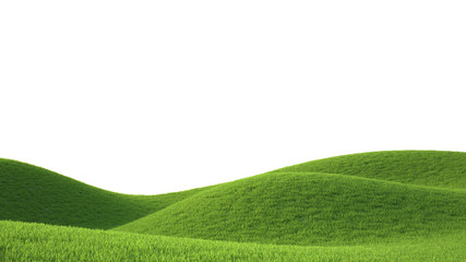 green grass field