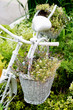Old bicycle ideas for gardening