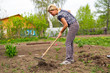 © ArtEvent ET - Shapely blond leveled ground rake in the spring garden