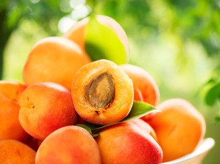 Wall Mural - Apricot. Ripe organic apricots over green nature blurred background