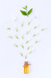 essential aroma oil with jasmine on white background