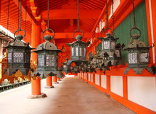 Japanese Lanterns In Nara