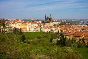 Prague panorama with St. Vitus Cathedral