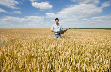 Wall Mural - Farmer with laptop in wheat field